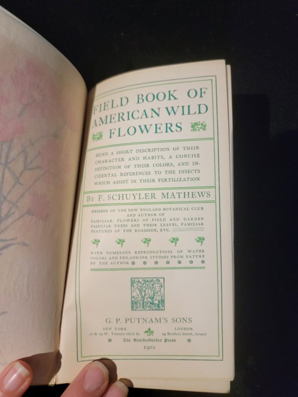 Fieldbook of American Wild Flowers by F. Schuyler Mathews 1902