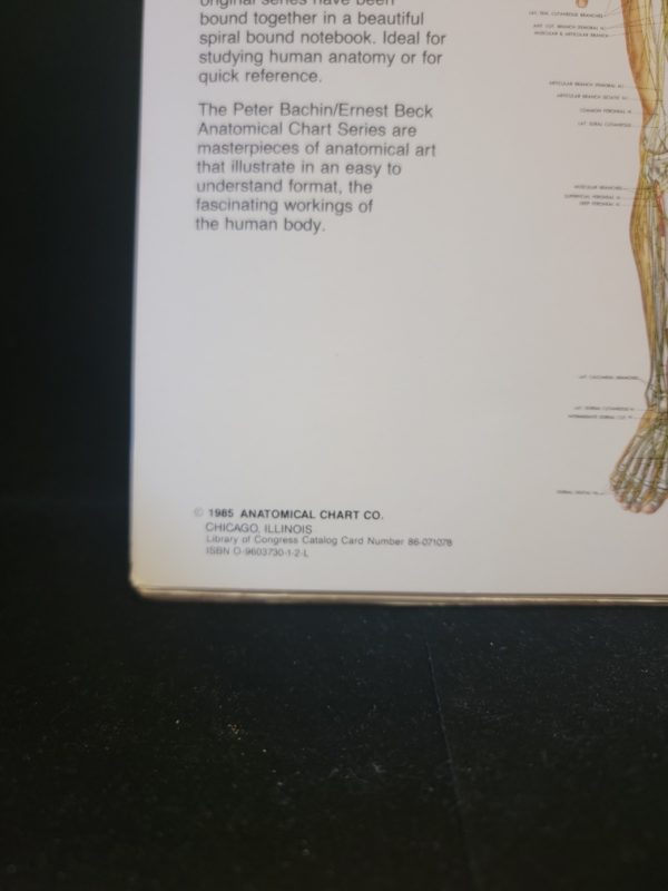 The Anatomical Chart Series by Peter Bachin and Ernest Beck 1985