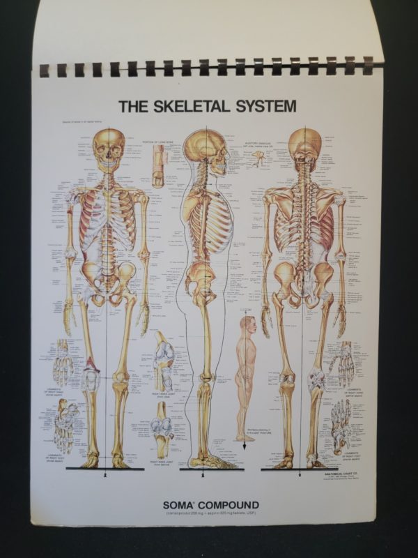 The Anatomical Chart Series by Peter Bachin and Ernest Beck 1985