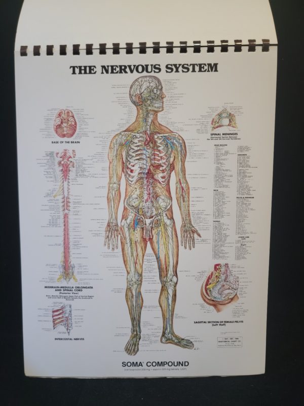 The Anatomical Chart Series by Peter Bachin and Ernest Beck 1985