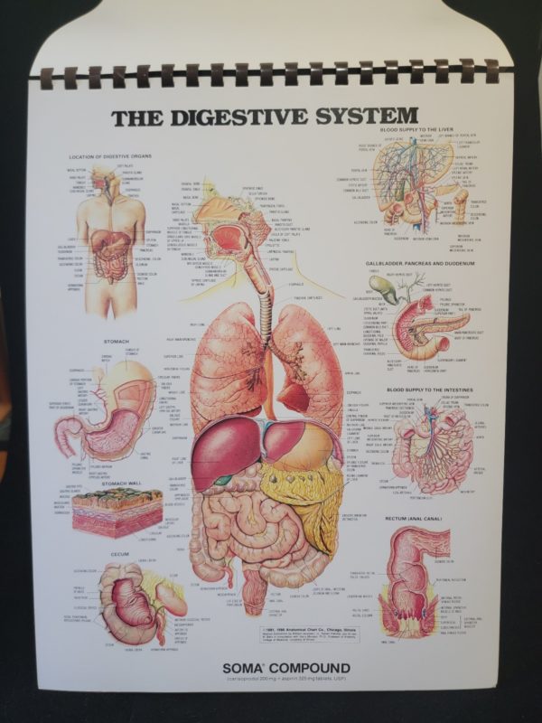 The Anatomical Chart Series by Peter Bachin and Ernest Beck 1985