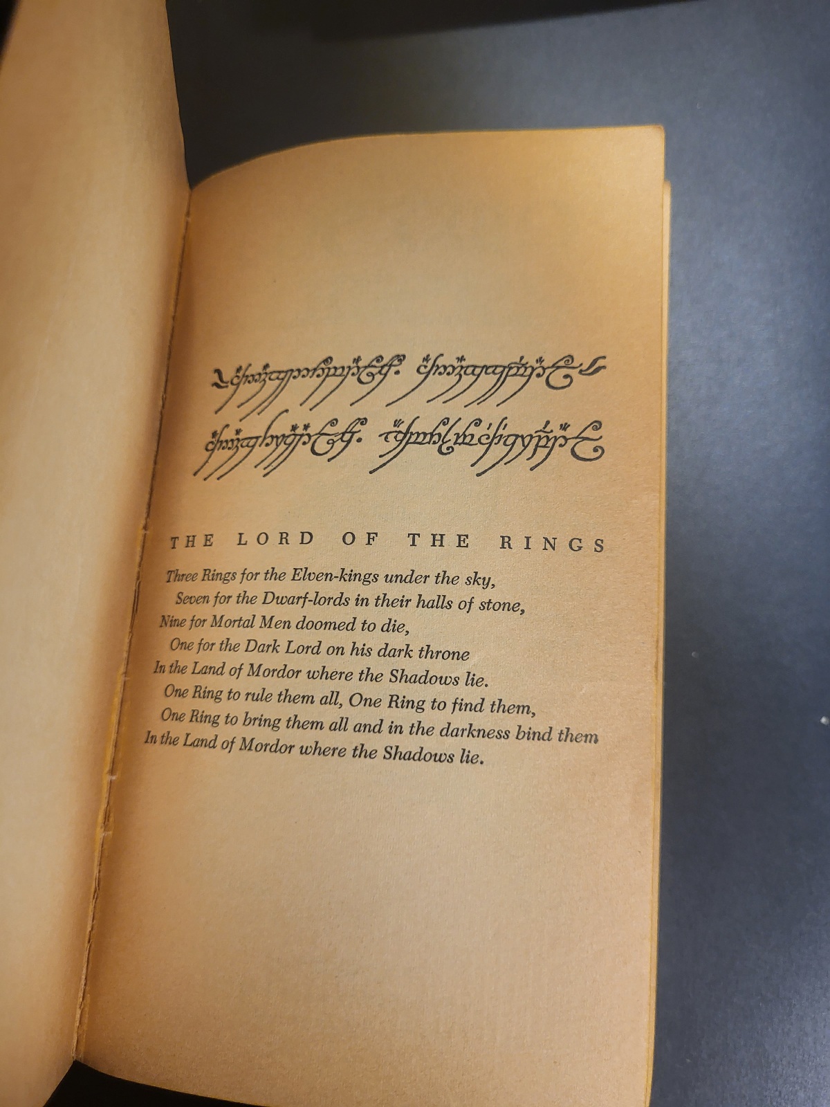 The Lord of The Rings by J.R.R. Tolkien Unauthorized Ace Printing A-4, A-5, A-6 1965