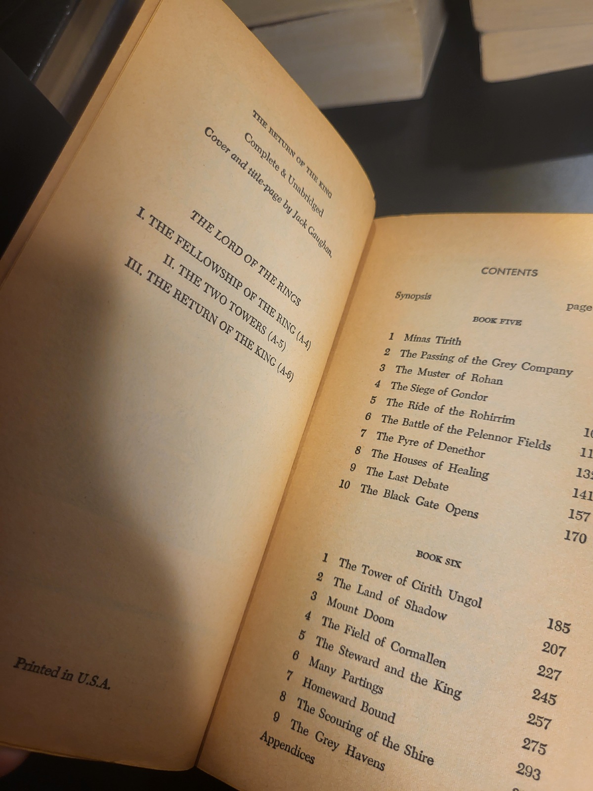 The Lord of The Rings by J.R.R. Tolkien Unauthorized Ace Printing A-4, A-5, A-6 1965