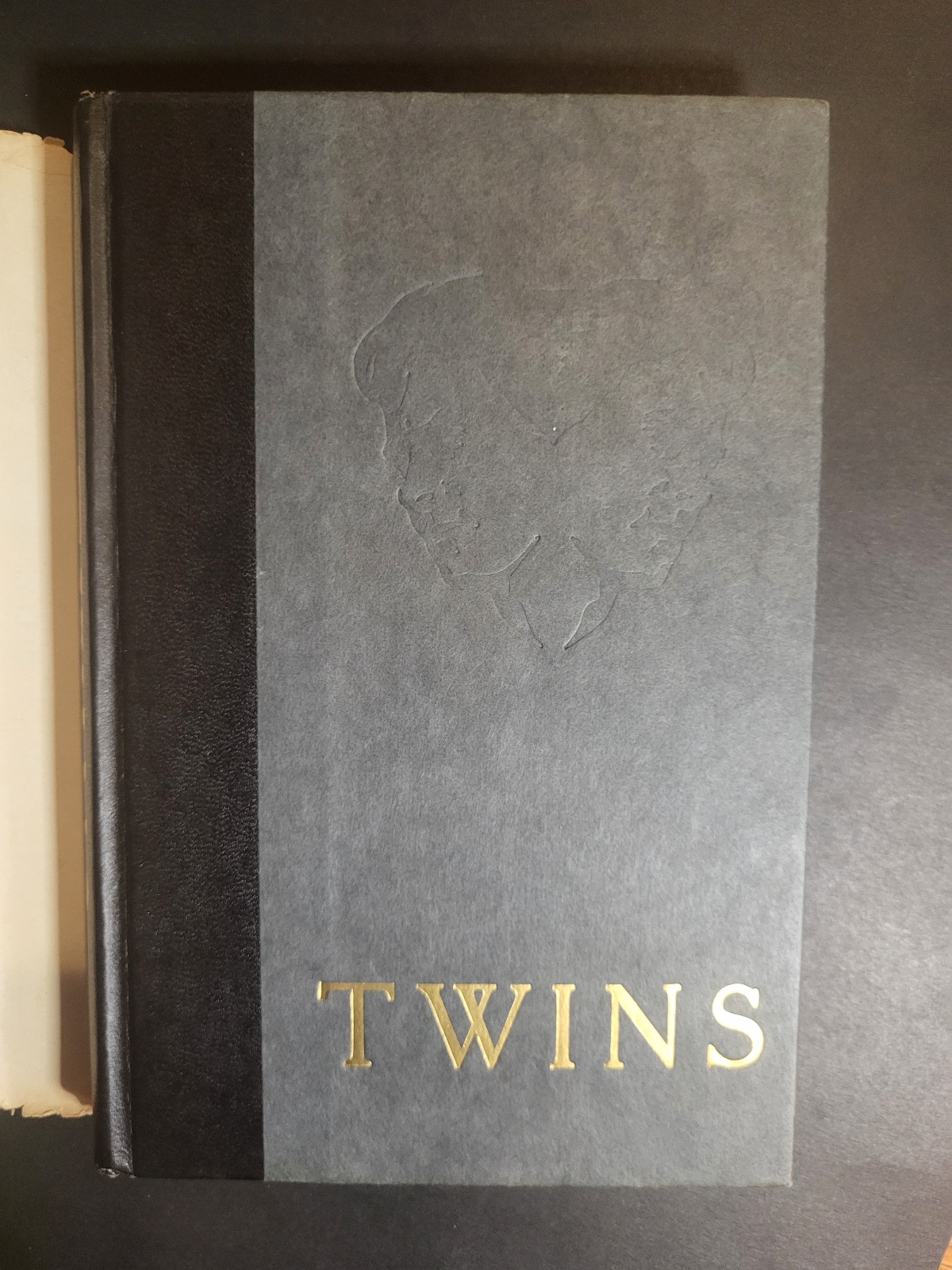 Twins By Bari Wood & Jack Geasland 1977 Book Club Edition Horror Hardcover