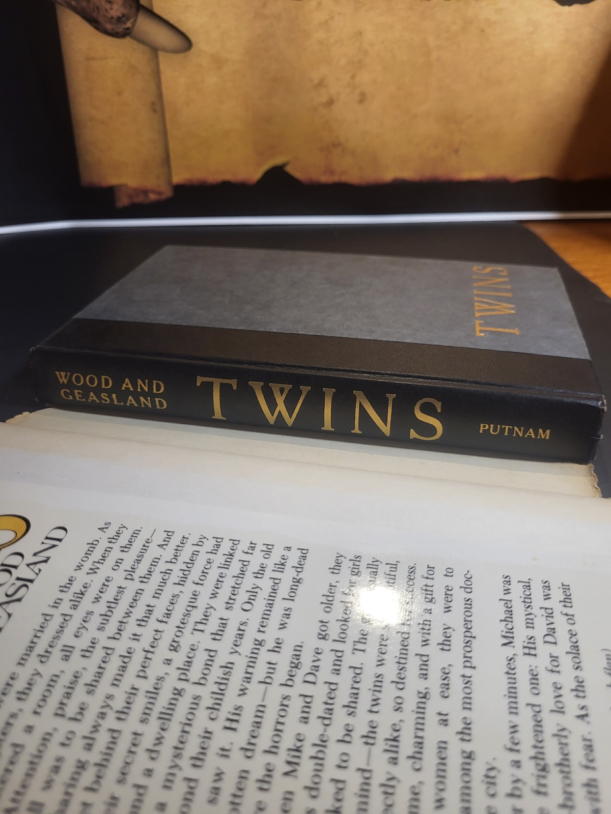 Twins By Bari Wood & Jack Geasland 1977 Book Club Edition Horror Hardcover