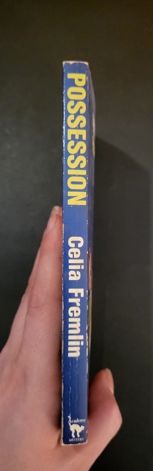 Possession by Celia Fremlin 1985 Paperback