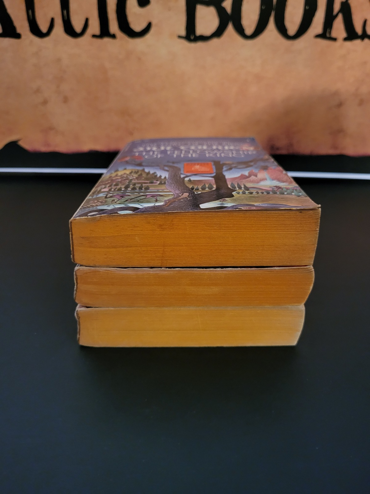 The Lord of the Rings Trilogy in Custom Slipcase Ballantine Books
