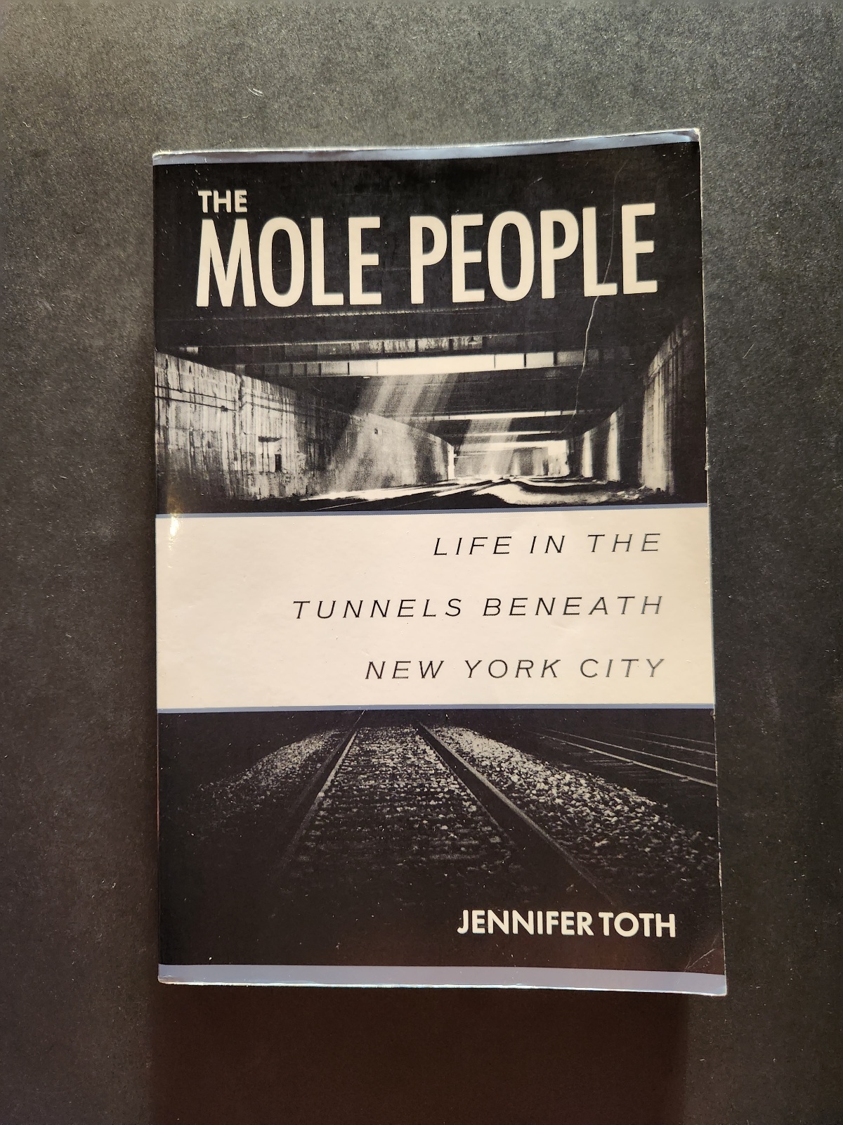 The Mole People by Jennifer Toth 1993 Chicago Review Press Large Paperback