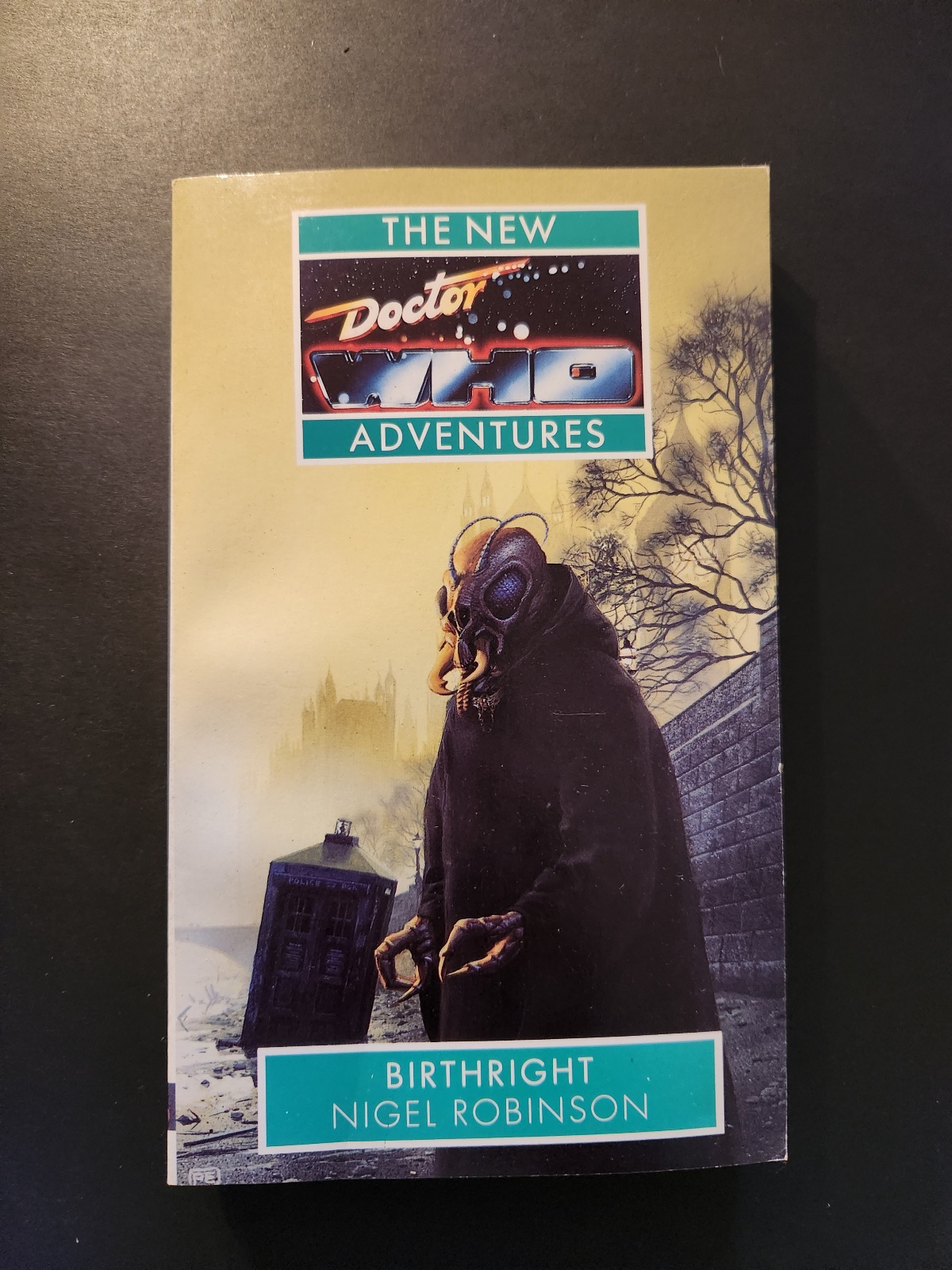 THE NEW DOCTOR WHO ADVENTURES: BIRTHRIGHT BY NIGEL ROBINSON 1993 PAPERBACK