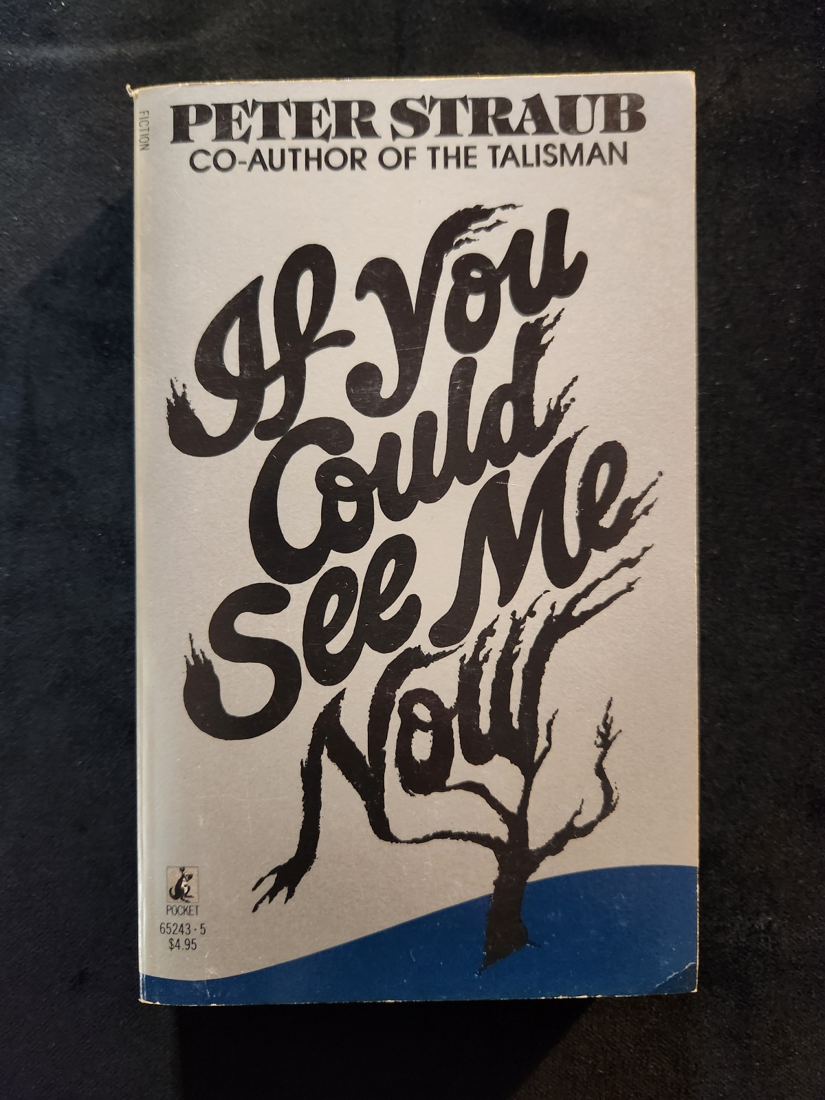 If You Could See Me Now by Peter Straub 1979 Pocket Vintage Horror Paperback
